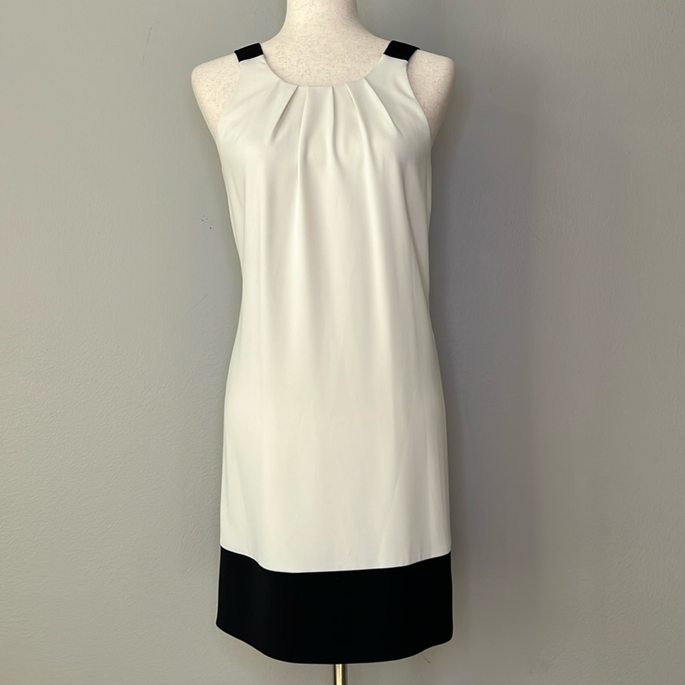 DONNA RICCO Ivory and Black dress / Size 4